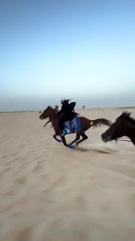 ما شاء الله الله يباركك يارب يازين السباقات مع النفوس الحلوه 🫡😂🤍 #خيل_وخياله🐎 #خيول #الاجدل #فارسات_سعوديات #edit #explore #horse #experiment #الشعب_الصيني_ماله_حل😂😂 