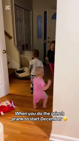 #grinch #grinchmas #prank #grinchtiktok #kidsoftiktok #toofunny #fyp #fyp≥°viral #fyp≥