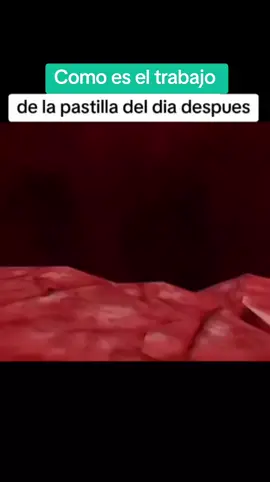 COMO HACE EL TRABAJO LA PASTILLA DEL DIA DESPUÉS???#tik_tok #viral_video #mujeres #NOSTRAS #gordita #nocriticar #xdddddsdddddddddddd #pastilla #diadespuesdeentrenarpierna🥺 