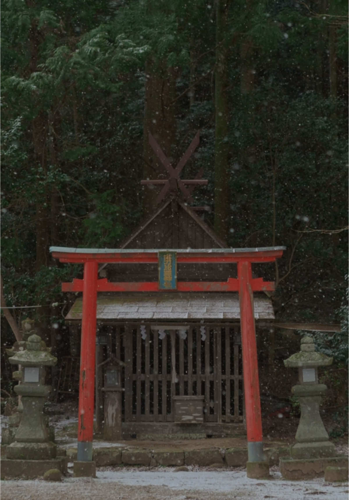 Buying an old house in Japan wasn’t easy, living in it isn’t easy, but it’s the best decision I ever made 🤍 - #ExpatLifeInJapan #ExploreJapan #JapanVibes #HomeRestoration #SmallTownJapan #JapaneseHomes #KominkaRestoration #LifeInJapan #MindfulLiving 