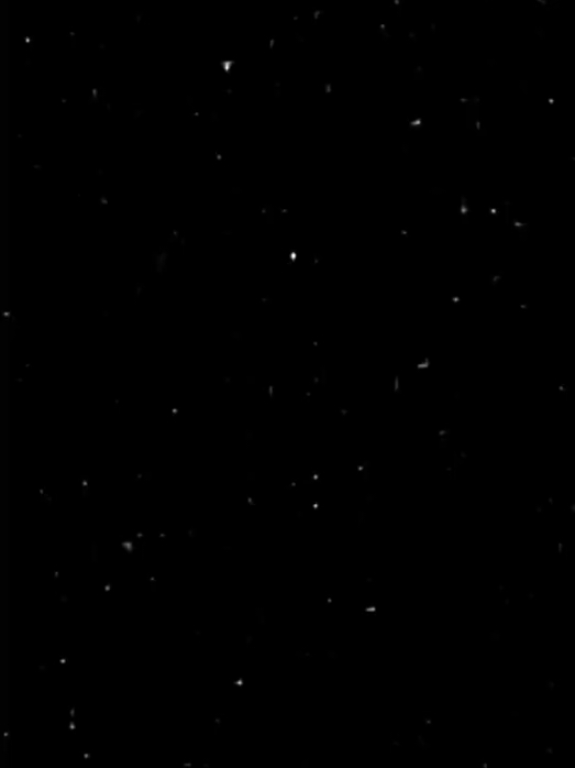 عجبتك النكتة؟#اقتباسات #عبارات #تصميمي #fyp 