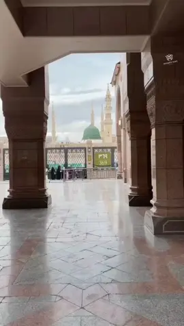 ومحمد رفع الجهالة بالهدى وأباد حكم الجاهلية واصطفى #الصمت #اجواء_الشتاء #حالات_واتس #حالات #تصميم_فيديوهات🎶🎤🎬 #تصميمي #تصميم #ترند_تيك_توك #ترند #الشعب_الصيني_ماله_حل😂😂 #مصر🇪🇬 #اللهم_صل_وسلم_على_نبينا_محمد #اللهم_صلي_على_نبينا_محمد #قران_كريم_ارح_سمعك_وقلبك #قران #قران_كريم #اكتب_شي_توجر_عليه #يارب_فوضت_امري_اليك #يارب❤️ #اجر_لي_ولكم #راحه_نفسيه #اناشيد_اسلاميه #حالات_واتس #حالات #اكسبلور #مكه #المدينه_المنوره #مصر🇪🇬 #مصر_العراق_السعودية_تونس_المغرب_الجزائر 