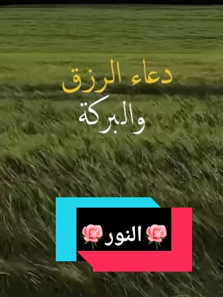 #creatorsearchinsights #دعاء #الرزق والبركة #اقتباسات #حكمة #خواطر #نجاح #اكسبلور #تيك_توك_عرب #creatorsearchinsights #tik #tok #❤❤❤❤ #اللهم_صلي_على_نبينا_محمد #امين_يارب🤲🏻🥀🕊️ 