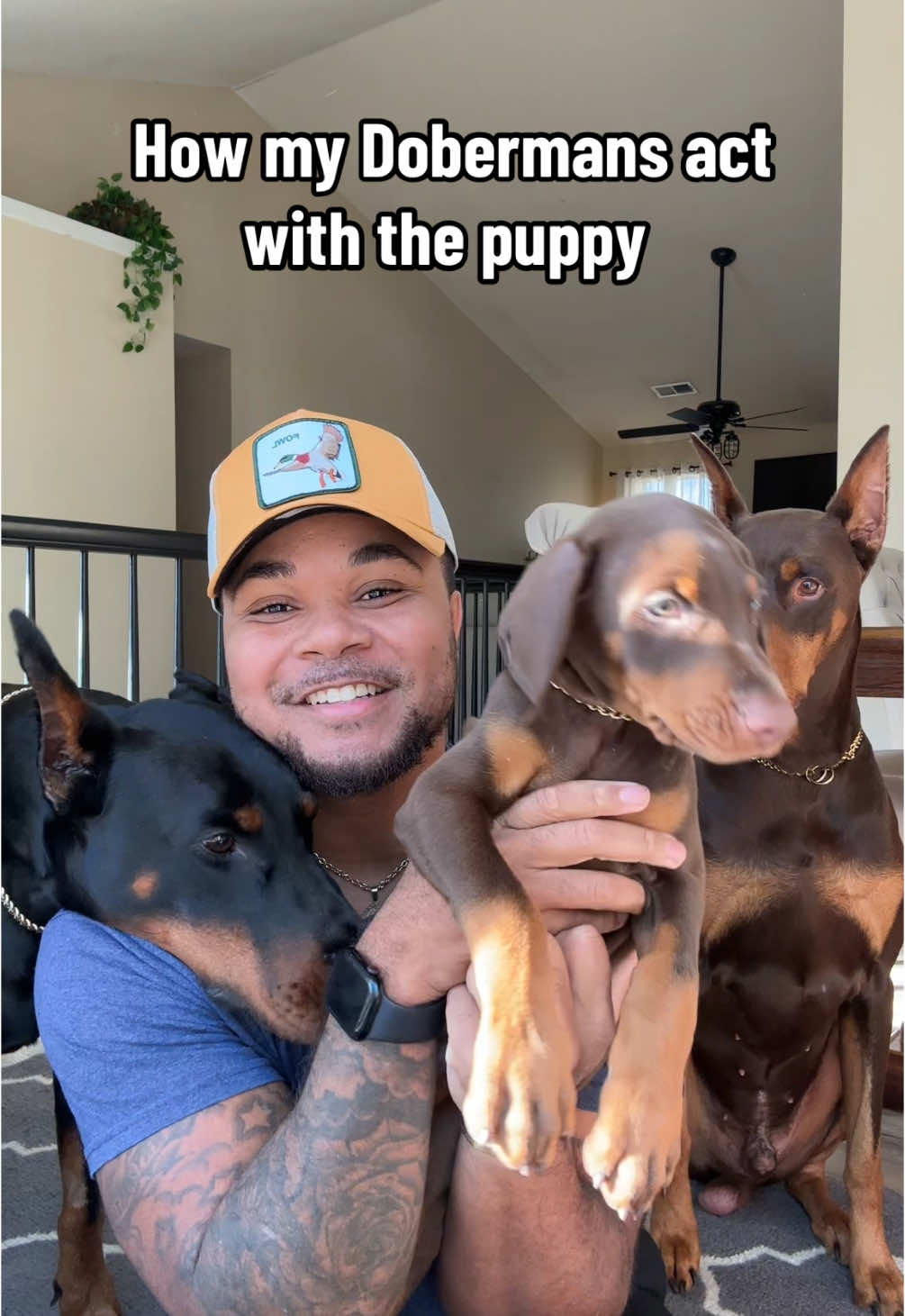 The three amigos! 🤣