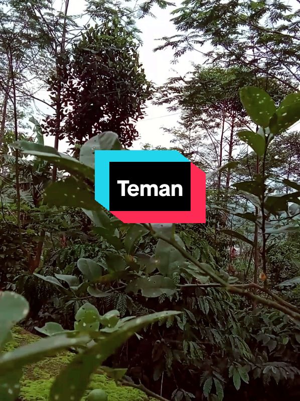 Teman#rhomairama #rajadangdut #motivacion #nasehat #pemandanganindah #CapCut 