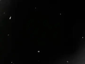 what if lang,anong gagawin mo? #willtalks #fyppp #blowthisup #fy #blowthisup #mackkk #lyrics #creditstotheowner 