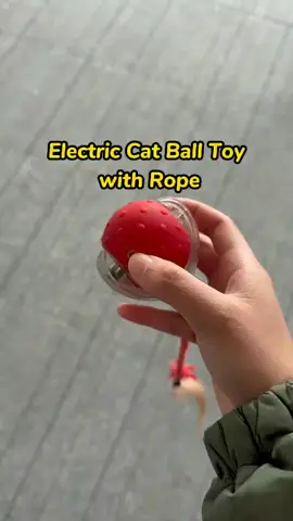 With this interactive ball, your cat will never be bored again! 🐾#CatToy#KittyPlay#InteractiveCatToy#CatLovers#petplaytime 
