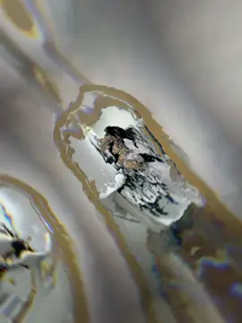 #xuhuong #sweater #LearnOnTikTok 