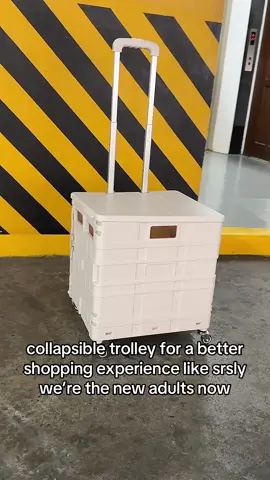 less hassle for bring groceries upstairs  #fyp #foryou #fypシ゚ #collapsibletrolley #foldablecart #groceryshopping 