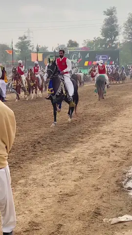 #نیزہ_بازی_پاکستان #نیزہ_بازی #نیزہ_باز_گروپ🐴 #نیزہ_بازی_پاکستان🐎💕💕 #نیزہ۔بازی۔ایسوسی۔ایشن۔ضلع۔گجرات #nezabazipakistan #foryoupage #foryoupageofficiall #nezabazichampions #trendingvideo #trendingsong #nezabazi_lovers #نیزہ۔بازی۔شوق۔نوابی۔ #nezabazigujrat #نیزہ_بازی_لورز 