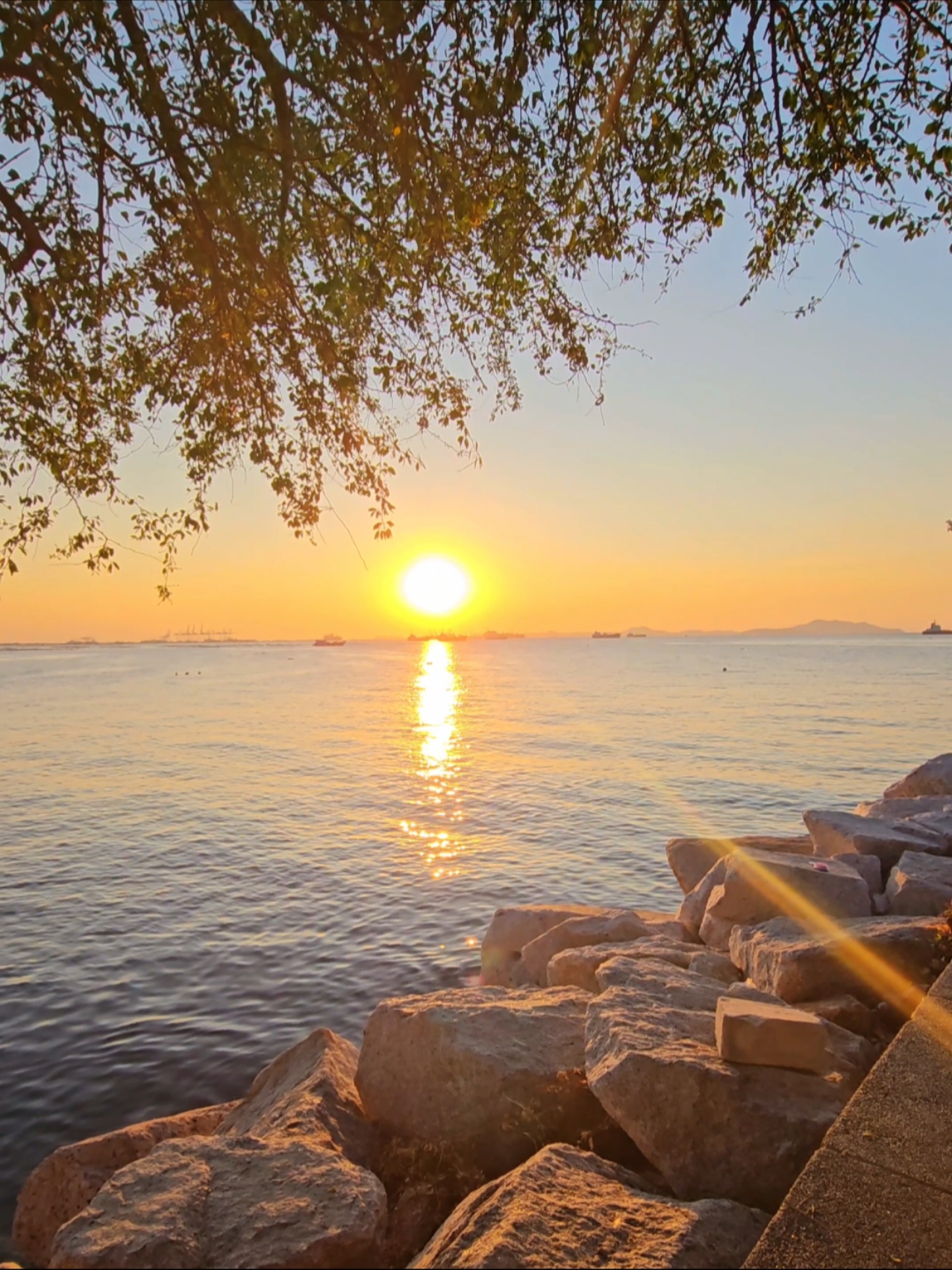#พระอาทิตย์ตก #วิวท้องฟ้า⛅️🌈 #สตอรี่ความรู้สึก #เธรดความรู้สึก #ยืมลงสตอรี่ได้ #ฟีดดดシ #fypシ 