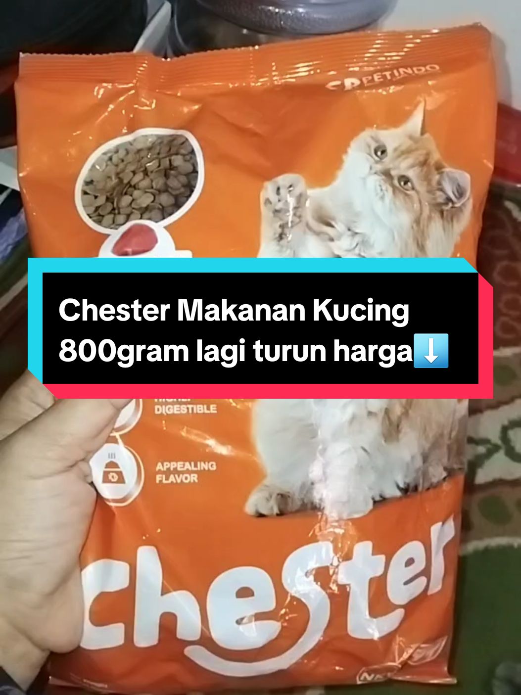 Membalas @asepdeni521 chester makanan kucing lagi turun harga lagi nih #chestermakanankucing #chestercatfood #makanankucingchester #yearendsale #wibgajian #gebyarbelanjadesember #cuantanpabatas #makinekstracuannnya 