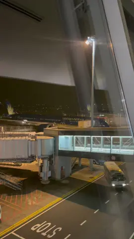 #capcut tự dưng bước qua cánh cửa an ninh ấy chả biết bao giờ được gặp lại bố mẹ ….#saitama 🇯🇵