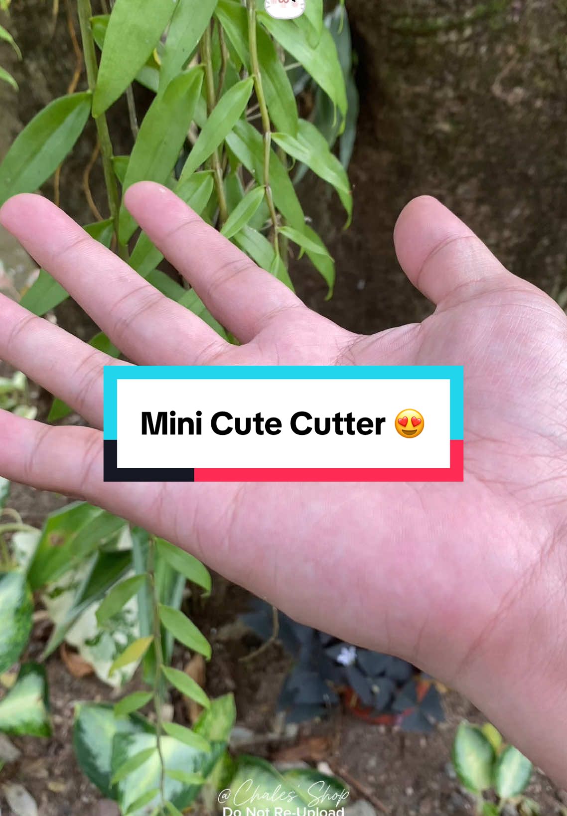 Mini Cutter, Cloud Shaped Cutter with Key Chain Hole #cutter #minicutter #cutecutter #tiktokph #fyp #tiktokfinds #tiktokviral #tiktoktrend #product #tiktokph 