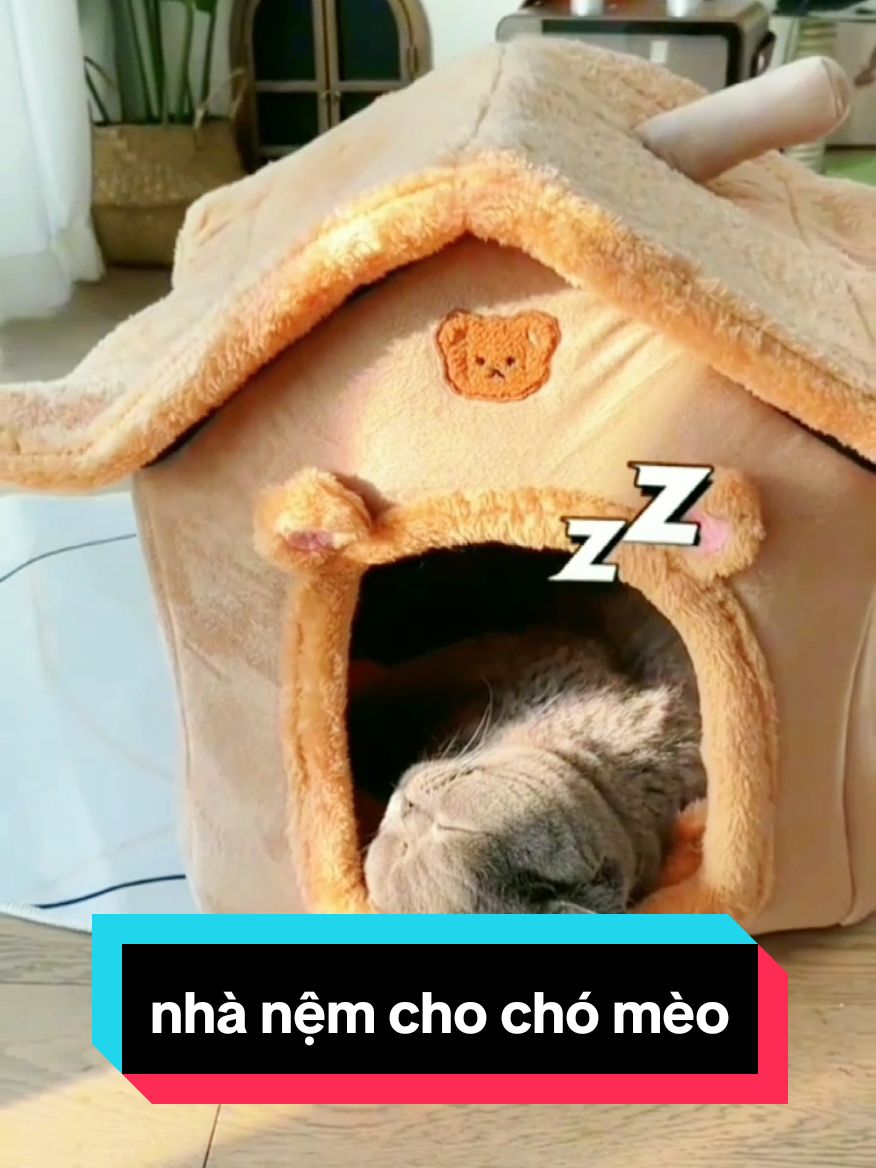 🍒nhà nệm cho chó mèo #PetsOfTikTok #petlover #pet #pets #fyp #fypシ #foryou #xh #xhtiktok #thucung #cat #cats #catlover #catsoftiktok #mèo #funny #kitten #kitty #cute #Love #meow #kittens #animals #cutecat #trend #trending 
