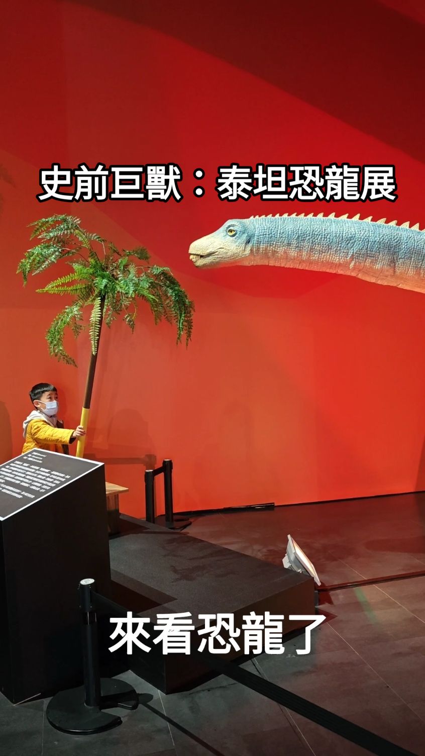 世界最大級史前巨獸37公尺長泰坦巨龍，震撼登台！ #恐龍 #泰坦巨龍  《史前巨獸泰坦恐龍展》 展覽日期 │ 2024/12/19(四)-2025/4/6(日)，除夕（1/28）休館 展覽地點 │ 國立臺灣科學教育館7樓南側展區 營業時間 │非寒假之平日 09:00-17:00 (16:30停止售票及入場)；假日及寒假(1/21-2/10) 09:00-18:00 (17:30停止售票及入場)
