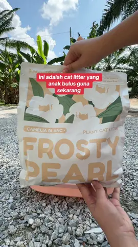 mana cat parents nak cari cat litter yang dapatkan kurangkan bau busuk serius #frostypearl dari #pawmisedland ni adalah pilihan terbaik ! bolehh cuba sekarang ! 😘 #catlitter 