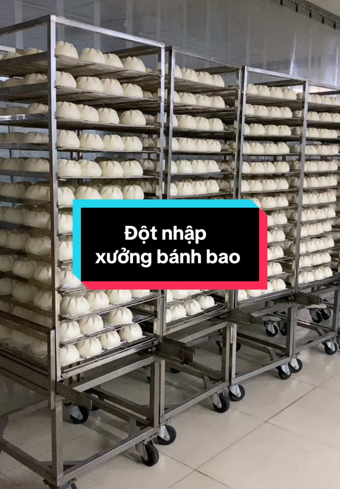 Đột nhập phòng sản xuất bánh bao Bảo Ngọc Sài Gòn chiều nay nhé 🥰#banhbaongoc #baongocsaigon #bánhbao 