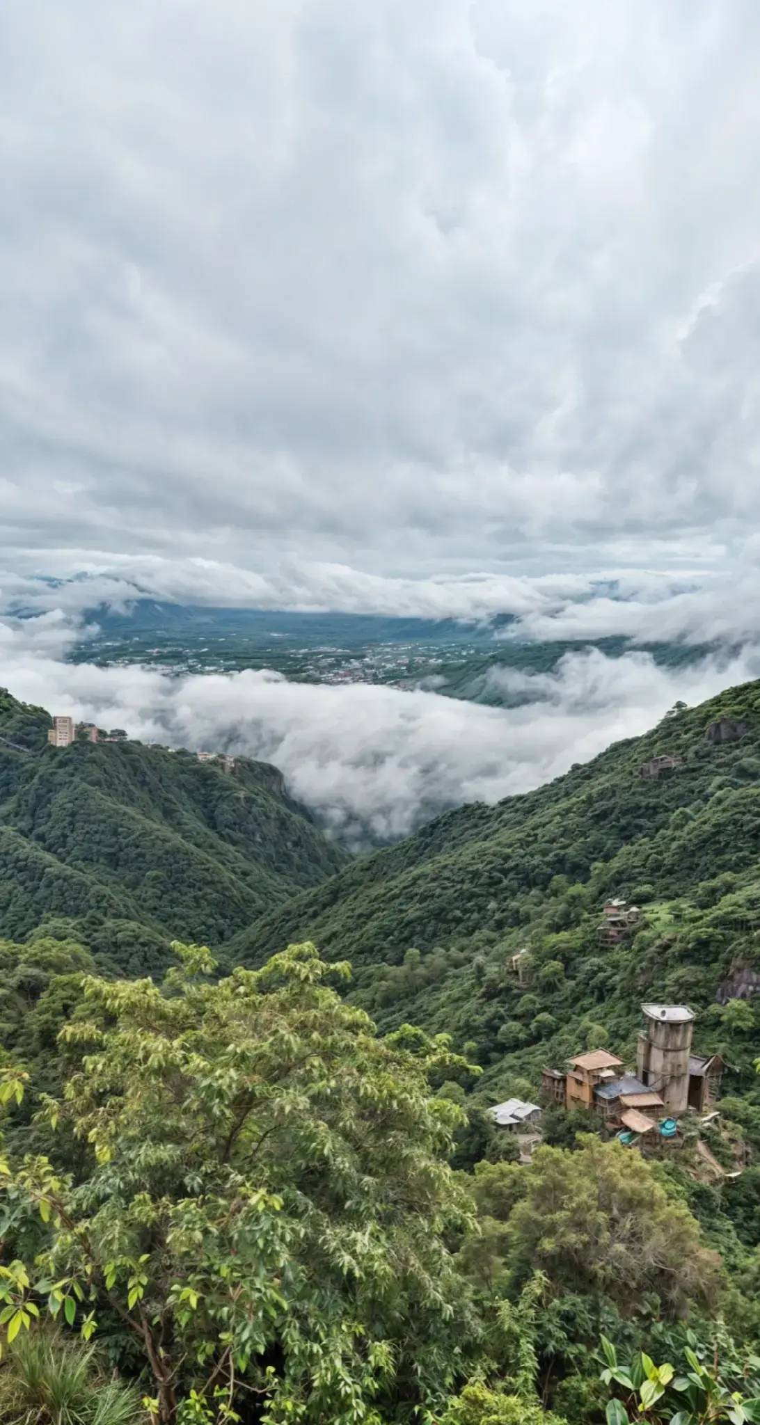 #فيفاء #صور #saudiarabia🇸🇦 