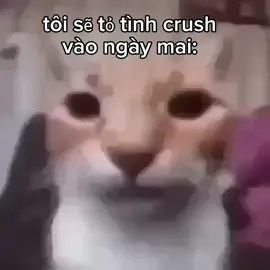 quá rủi ro #fyp #fypシ゚viral #fypシ 
