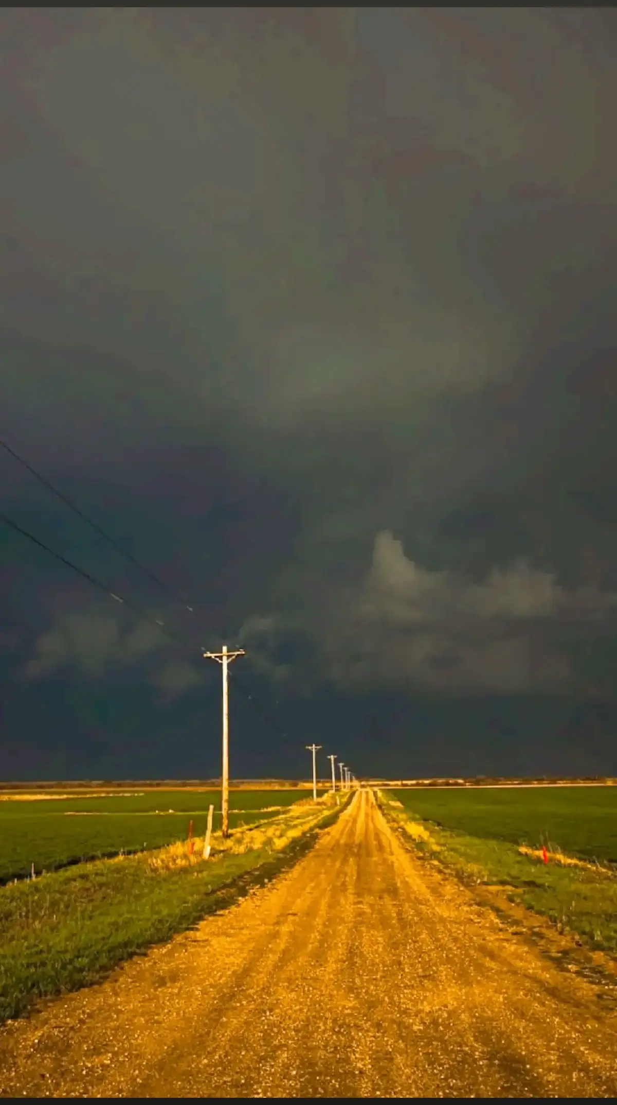 #مشاهير_تيك_توك 