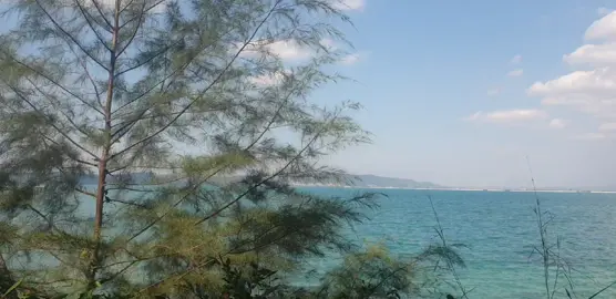 #CapCut #videotiktok #viralvideo 