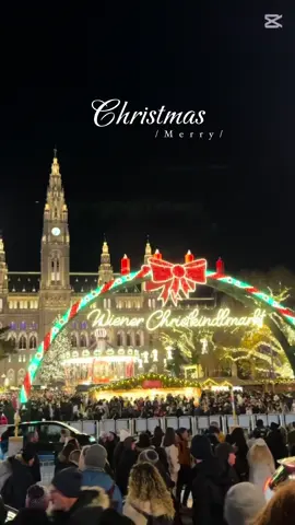 🎄Bécs Advent utolsó napjain #vienna #christmas #christmasmarket #wienerchristkindlmarkt #belvedere #rathhausplatz #mariahilferstraße #bécs #bécsikarácsonyivásár #merrychristmas #fyp 