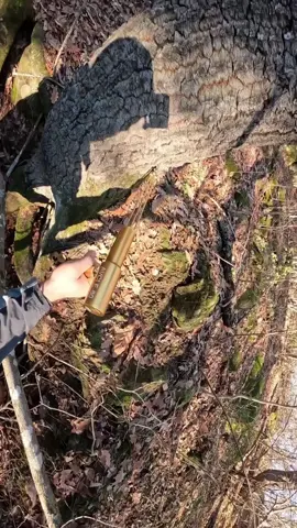 I found treasure under a big rock