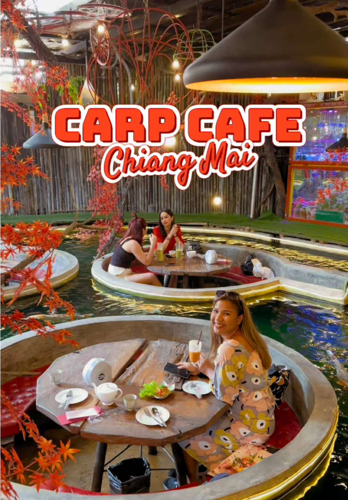 Carp Cafe Chaing Mai คาเฟ่ปลาคาร์ฟ เชียงใหม่เจ้า #CapCut 
