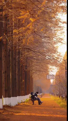 Thấy cảnh buồn buồn nên ghép nhạc vào nhạc phim hàn #giaythuytinh 