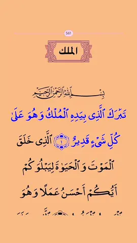 #quranrecitation #alquran #official #foryou #fyp #pourtoii 