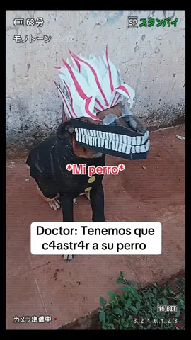 En busca del turbo veterinario que me robó las bolitas #dandadan #cosplay #okarun #dog #Anime #humor #otaku #fyp #animefyp #animeparati 