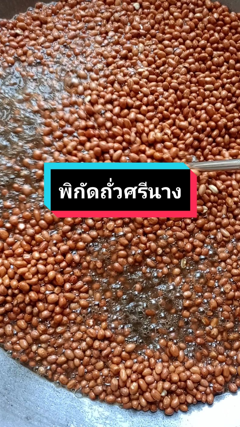 ตอบกลับ @rungnapa1974 กดในตะกร้าได้เลยนะคะ ทอดใหม่ทุกวันค่ะ#ถั่วศรีนางทอดใหม่ทุกวัน #ศรีนางถั่วลิสง #ศรีนางถั่วลิสงทอด #เรื่องถั่วไว้ใจศรีนางถั่วลิสงทอด 