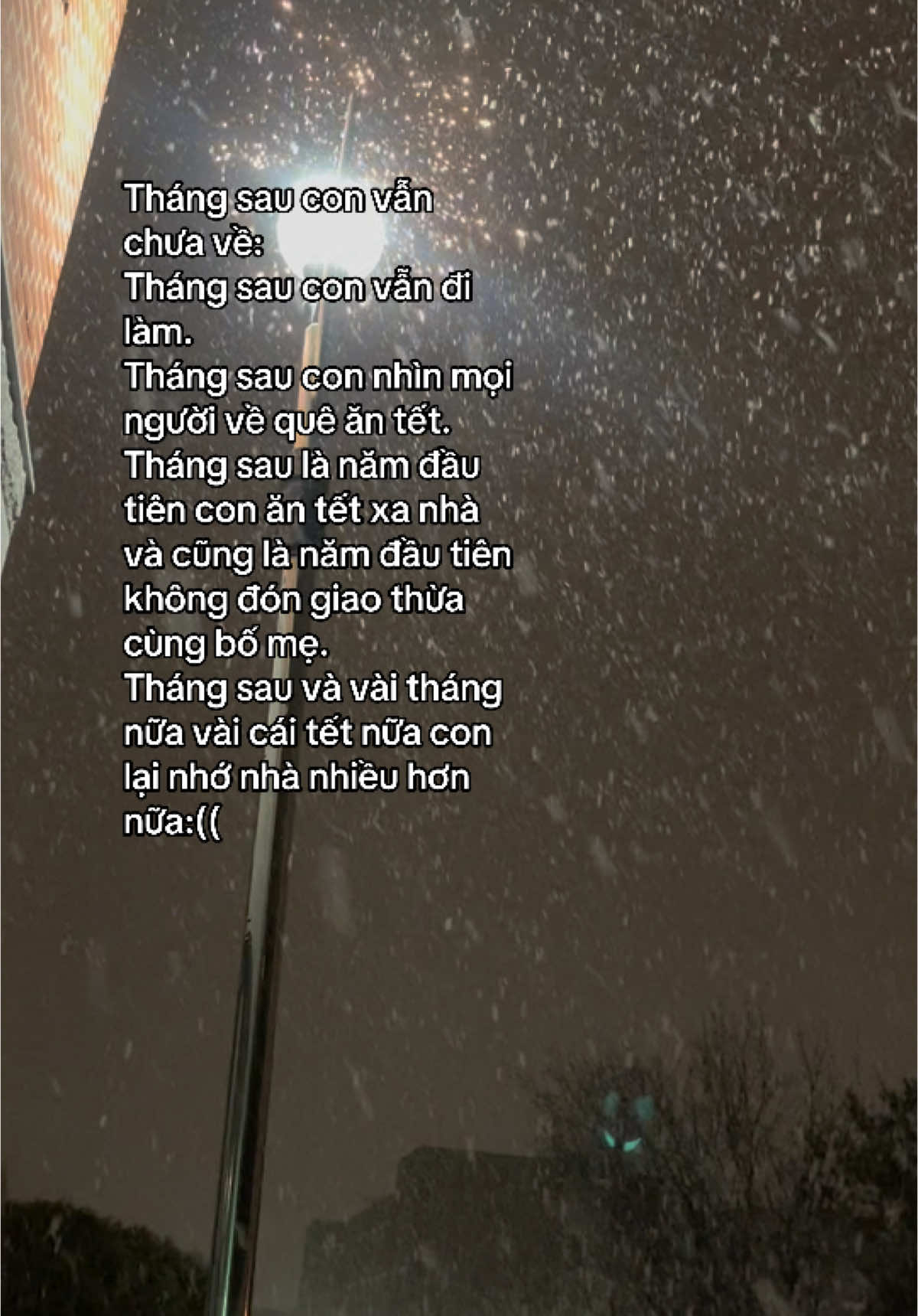 Mùa tuyết đầu tiên cũng là cái tết đầu tiên con xa nhà #유학생🇰🇷🇻🇳 #hanquoc #tetvietnam #xh #tiktok 