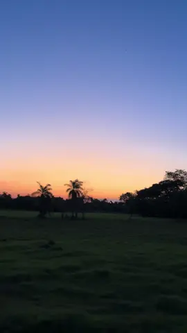 Tierra donde soy oriundo por eso la quiero tanto 🎶#llanera #criollo #llanura #joropo #llanoscolombianos #musicallanera #casanare #pazdeariporo #llanoadentro #llanocolombiano #caballos #amanecer #fyp 