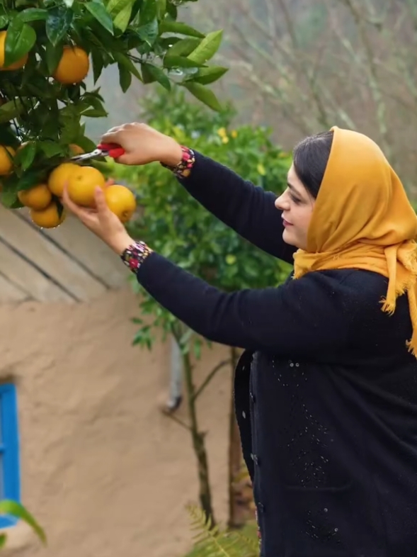 Sweet village Life❤️ #pirozhki #creamfilled #creamfilledporozhki #piroshki #dessert #ruralcuisine #rural_cuisine #villagelife #countrylife #gilan #mazandara #iran #ruralcuisine #rural_cuisin #rural_life #villagelife #countryl #rurallife #rural #ASMR #asmrcooking #relaxingvideo #goodmood #goodvibe #vibe #Vlog #cooking #gilan #mazandaran #uk #unitedkingdom #ukraine #londonlife #londonfood 