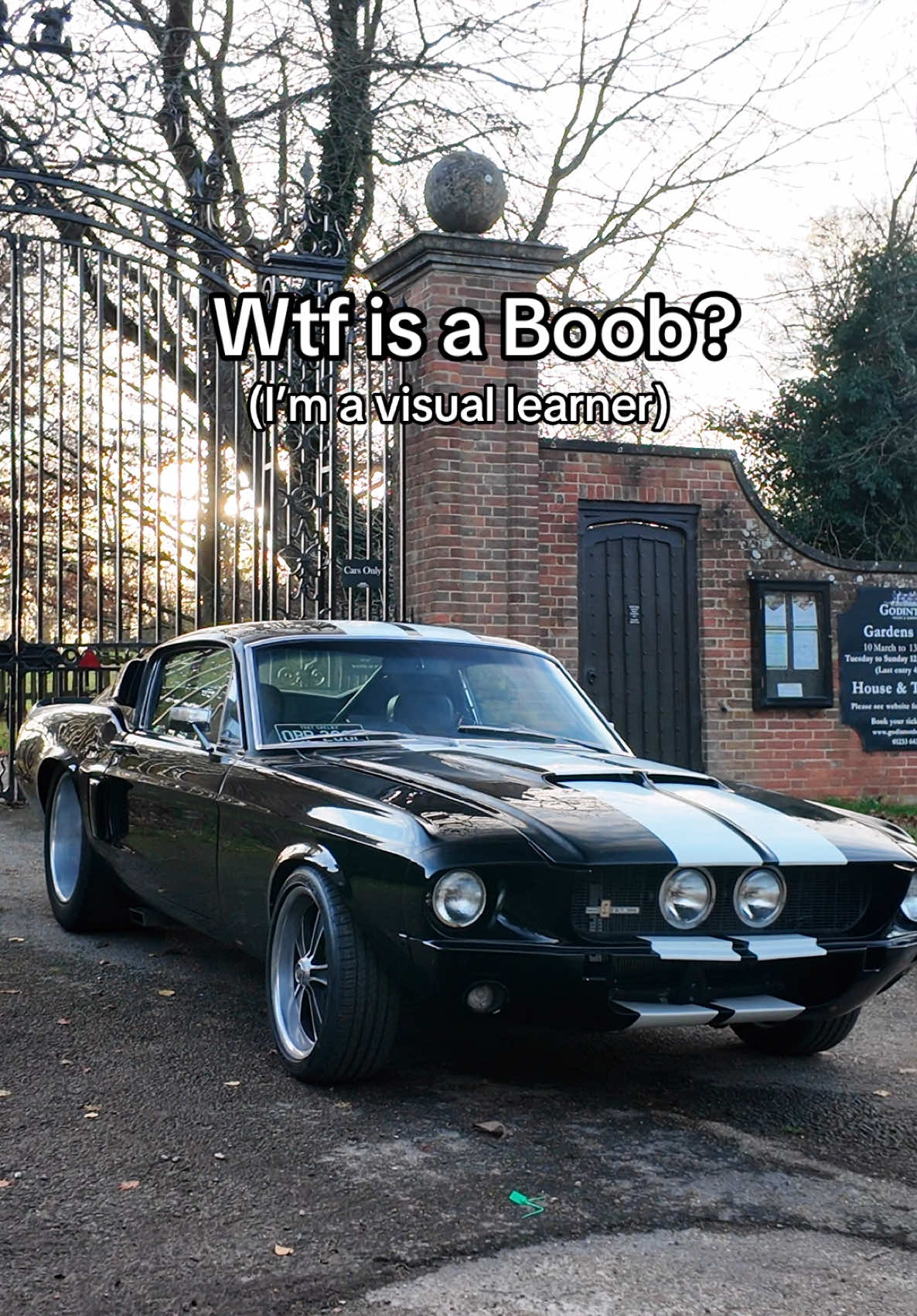 #theboyz #carsoftiktok #women #fp #americanmuscle #winter