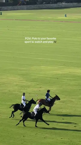 Any polo lovers and equines out here?🐎👀 #polo #equine #equestrian #pololifestyle #poloplayer #horselover 