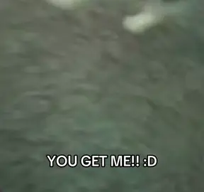 US? :D 💕 #cute #cats #fyp #foryou #foryoupage #cutevideo #cutecats #friends #sillycats #silly #us #together #fy #fyyyyyyyyyyyyyyyy 