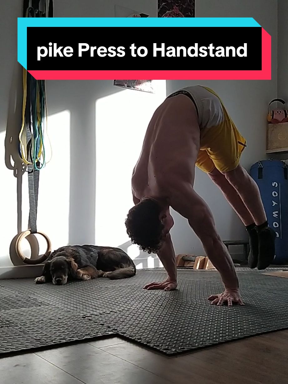 sempre più clean #handstand #presstohandstand #press #verticale #skills #calisthenics #streetworkout #homegym #calisthenicsathlete #calisthenicsitalia #fyp #perte #viral #viralvideo #volaneiperte #