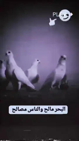 : رافل _:ناصريه : ذني: لعيون:  للمتابعين : ولعيون: @قــداوي 🌪🔕@عيال الصكباني@رضيوو🎶🪬#تصميم_فيديوهات🎶🎤🎬