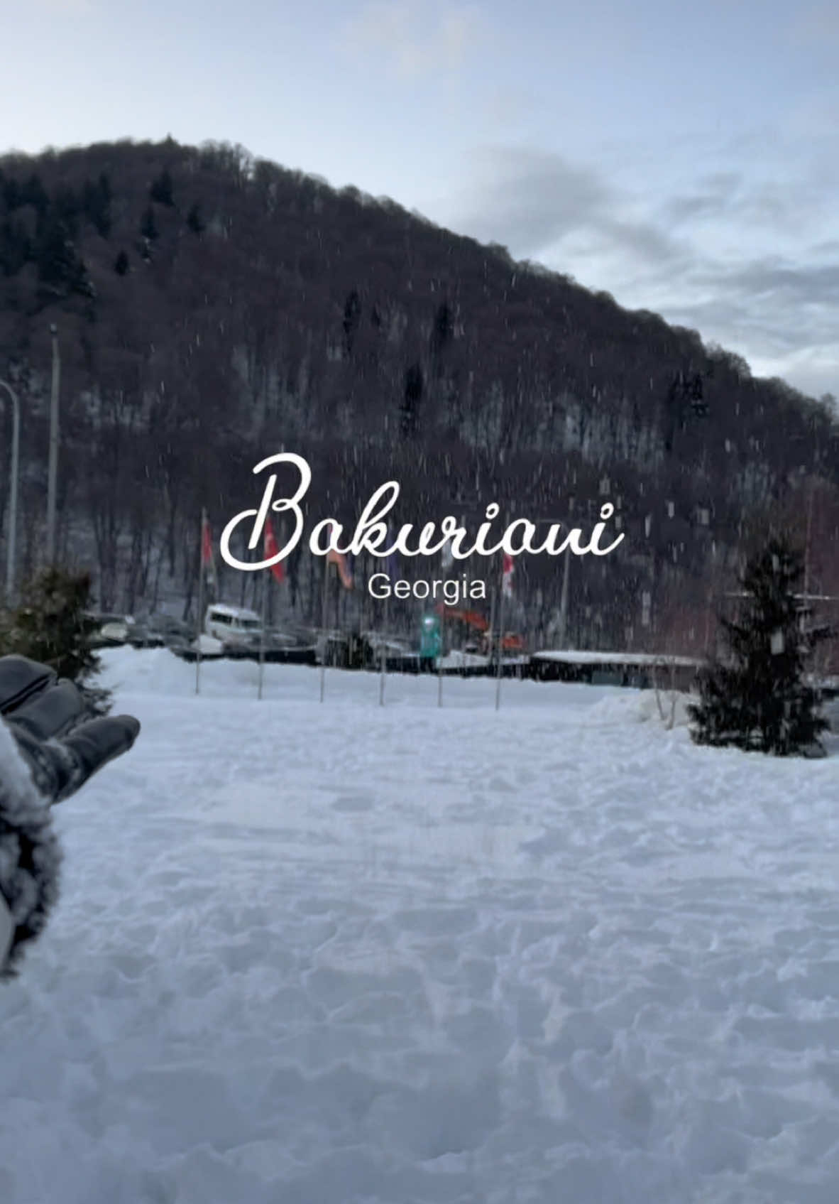 Georgia Bakuriani 🇬🇪♥️ #Bakuriani #tbilisi #georgia #باكورياني_جورجيا #باكورياني_جورجيا #باكورياني #جورجيا #تبليسي_جورجيا    #CapCut #kuwait #cafe #fpyシ #fpy #explore #explorepage #kuwaitrestaurant #coffee #goodmorning #اكسبلورر #اكسبلور #قهاوي_الكويت #كافيهات_الكويت #كافيه #الكويت #السعوديه #قطر 