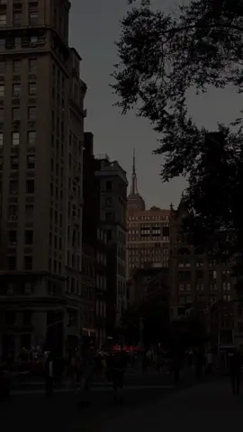 دانا طلعت حارق دمك😉🔥🩸 #حالات_واتس #تصميم_فيديوهات🎶🎤🎬 #تصميمي #explore #رضاالبحراوي 