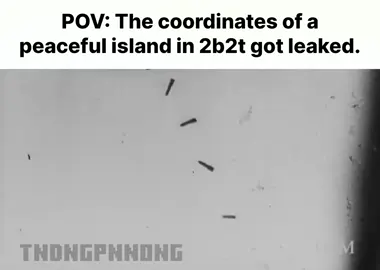 2b2t💀 #TikTokCreatorSearchInsightsIncentive #Minecraft #minecraftmemes #2b2t #tndngpnnong #fyp 