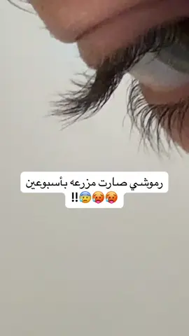 شايفين الكثافه والطول؟؟🤯🤯😰#اكسبلور #fyp #foryou #عشبه_وزيت #السعودية #اكسبلووور #الشعب_الصيني_ماله_حل😂😂 #مالي_خلق_احط_هاشتاقات #explore #fypシ #رموش_طويلة_كثيفة #رموش_طبيعيه 