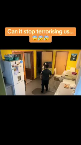 #terrosrisinh #annoying #scary#paranormal#stop#scream#haunted #christmas#festiveseason #ghost #entity#evil#scarychristmas#xmas 