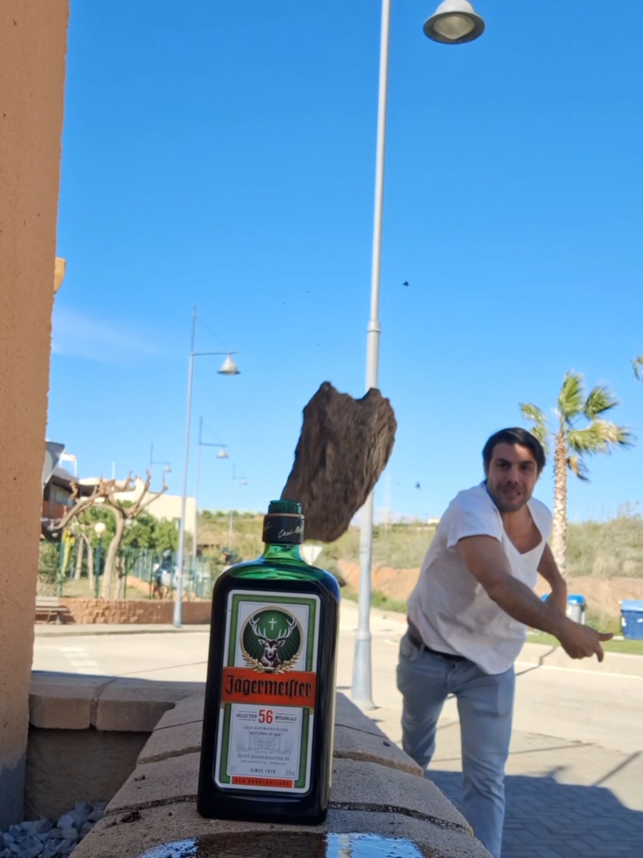 LA BESTIA TE VUELVE A DEJAR SOLO! #labestiadesperto #psicología #terapia #alcoholismo #adicción #sergioadicto_vida 