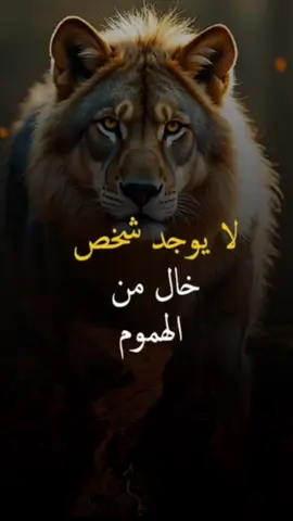 لا يوجد شخص خالي من الهموم..  #اقتباسات #حكمة #خواطر #اكسبلور #نجاح  #علم_النفس #تطوير_الذات #كلام_من_ذهب #اطمئن  #اقتباسات_عبارات_خواطر #تحفيزات_إيجابية  #اللهم_صلي_على_نبينا_محمد #fyp #explore  #viral_video #psychology #motivation 