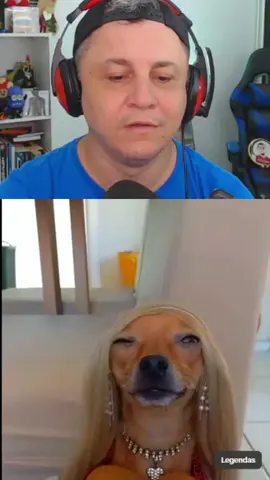 rindo pra cachorro #humor #react