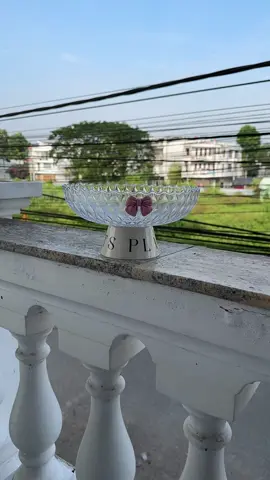 #khaydungtraicay #khaydiadungtraicay #khaydehoaquachungtet #khaydiadehoaqua #yfp #xuhuong 